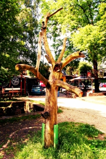 Anamarija Volk & Primož Karba (Mizzart) - Gugalno drevo (2006)