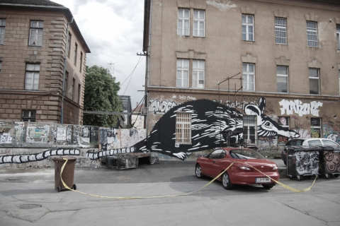 Anna Ehrlemark & Andrea Pirovano - Velika črna podgana (2009)