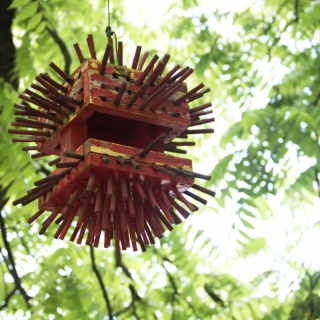 Dejan Pfeifer - Ptičje hiške (2008)