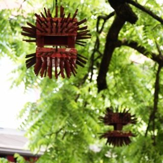 Dejan Pfeifer - Ptičje hiške (2008)