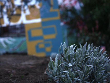 Marta Malsegna - Urbani raj (2023)