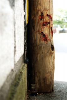 Miran Pešič - Dobrodošlica živalim (2007)