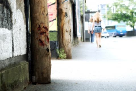 Miran Pešič - Dobrodošlica živalim (2007)