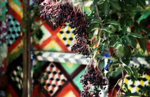 Mitja Ficko - Panjske končnice (2007)