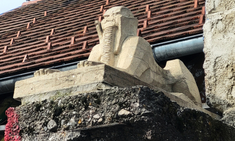 Rok Mohar - Kvantnik in Sfingata (2022)