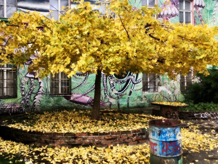 skupina Mizzart - Oaza (2006)