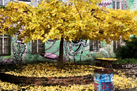 skupina Mizzart - Oaza (2006)