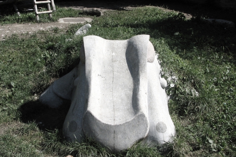Urša Toman - Zmaj (2005)