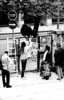 Zasedba, Metelkova, 1993