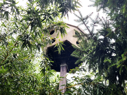 Zoran Srdić Janežič - Ptičja perspektiva (2023)