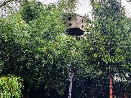 Zoran Srdić Janežič - Ptičja perspektiva (2023)