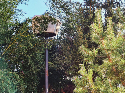 Zoran Srdić Janežič - Ptičja perspektiva (2023)