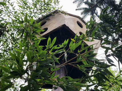 Zoran Srdić Janežič - Ptičja perspektiva (2023)